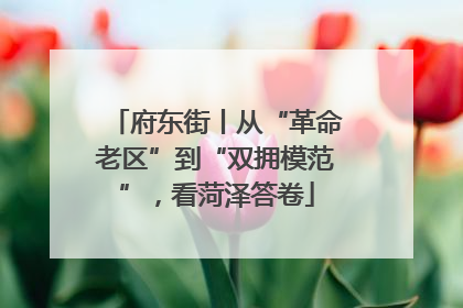 府东街丨从“革命老区”到“双拥模范”，看菏泽答卷