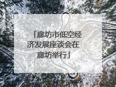 廊坊市低空经济发展座谈会在廊坊举行