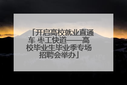 开启高校就业直通车 枣工快道——高校毕业生毕业季专场招聘会举办