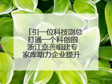 引一位科技副总 打通一个科创圈 浙江嘉善组建专家库助力企业提升自主创新能力