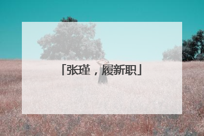 张瑾，履新职