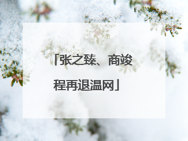 张之臻、商竣程再退温网