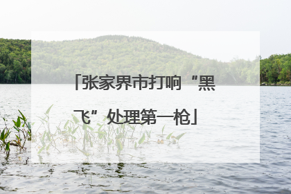 张家界市打响“黑飞”处理第一枪