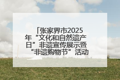 张家界市2025年“文化和自然遗产日”非遗宣传展示暨“非遗购物节”活动在慈利县盛大启幕