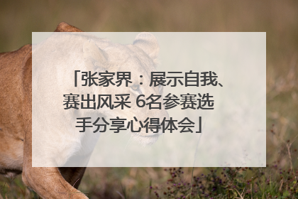 张家界：展示自我、赛出风采 6名参赛选手分享心得体会