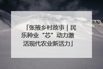 张掖乡村故事｜民乐种业“芯”动力激活现代农业新活力