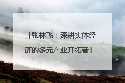 张林飞：深耕实体经济的多元产业开拓者