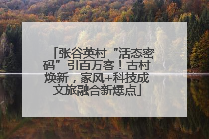 张谷英村“活态密码”引百万客！古村焕新，家风+科技成文旅融合新爆点