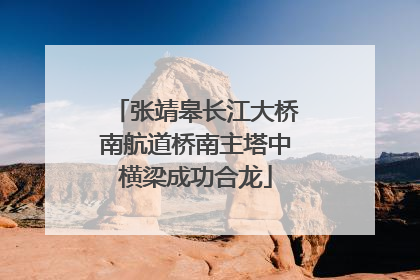 张靖皋长江大桥南航道桥南主塔中横梁成功合龙