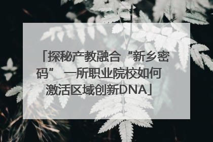 探秘产教融合“新乡密码” 一所职业院校如何激活区域创新DNA