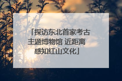 探访东北首家考古主题博物馆 近距离感知红山文化