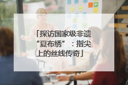 探访国家级非遗“夏布绣”：指尖上的丝线传奇