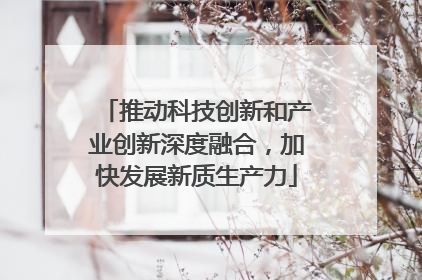 推动科技创新和产业创新深度融合，加快发展新质生产力
