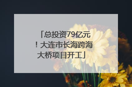 总投资79亿元！大连市长海跨海大桥项目开工