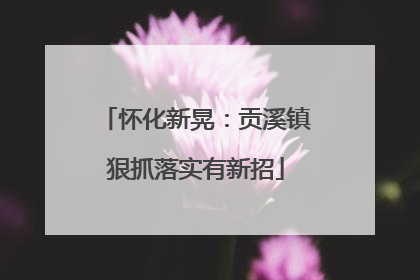 怀化新晃：贡溪镇狠抓落实有新招