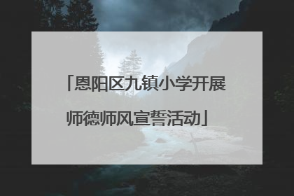 恩阳区九镇小学开展师德师风宣誓活动