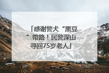 感谢警犬“黑豆”带路！民警深山寻回75岁老人
