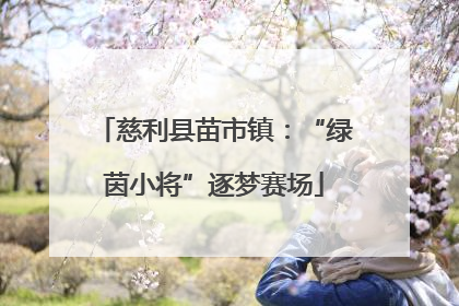 慈利县苗市镇：“绿茵小将”逐梦赛场