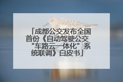 成都公交发布全国首份《自动驾驶公交“车路云一体化”系统联调》白皮书