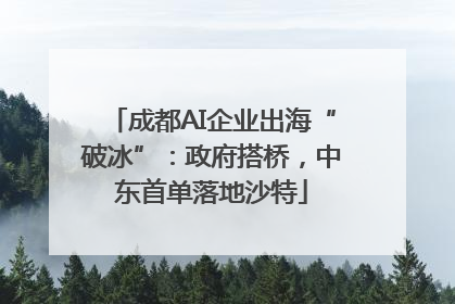 成都AI企业出海“破冰”：政府搭桥，中东首单落地沙特