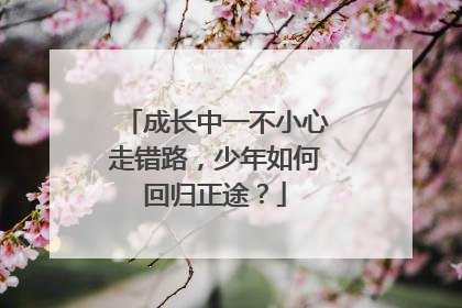 成长中一不小心走错路，少年如何回归正途？