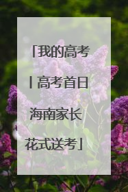 我的高考丨高考首日 海南家长花式送考