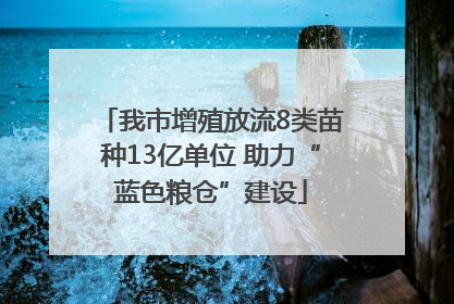 我市增殖放流8类苗种13亿单位 助力“蓝色粮仓”建设