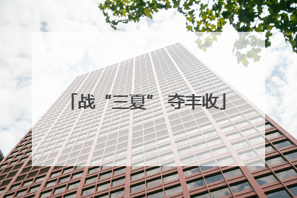 战“三夏” 夺丰收