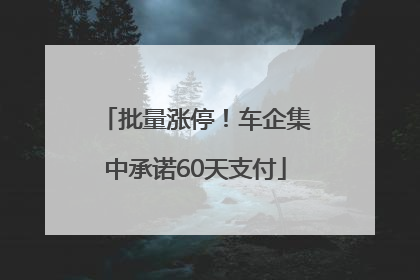 批量涨停！车企集中承诺60天支付