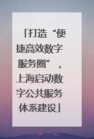 打造“便捷高效数字服务圈”，上海启动数字公共服务体系建设