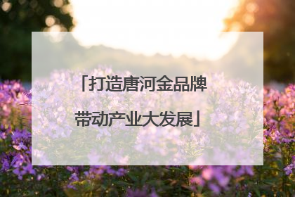 打造唐河金品牌 带动产业大发展