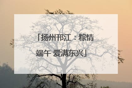 扬州邗江：粽情端午 爱满东兴