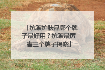 抗皱护肤品哪个牌子最好用？抗皱最厉害三个牌子揭晓