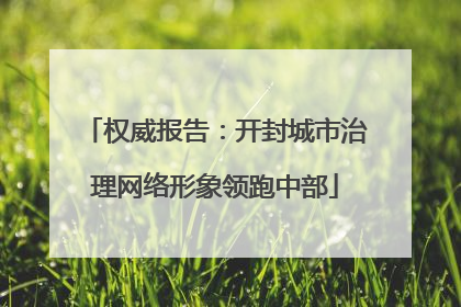 权威报告：开封城市治理网络形象领跑中部