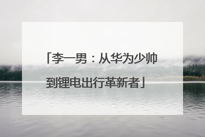 李一男：从华为少帅到锂电出行革新者