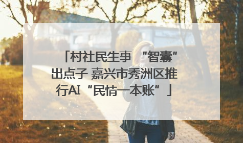 村社民生事 “智囊”出点子 嘉兴市秀洲区推行AI“民情一本账”