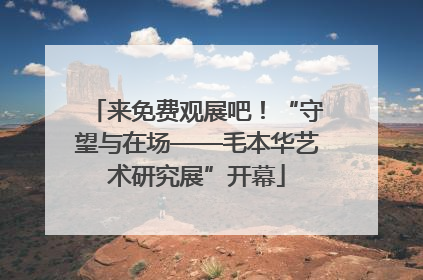 来免费观展吧！“守望与在场——毛本华艺术研究展”开幕