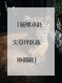 杨继承赴尖草坪区政协调研