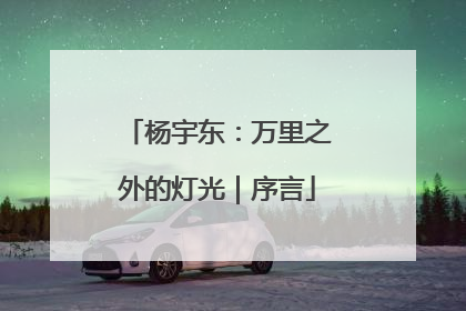 杨宇东：万里之外的灯光｜序言
