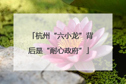 杭州“六小龙”背后是“耐心政府”