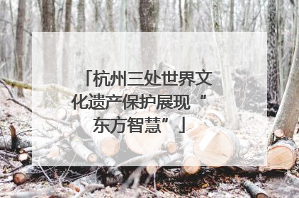 杭州三处世界文化遗产保护展现“东方智慧”