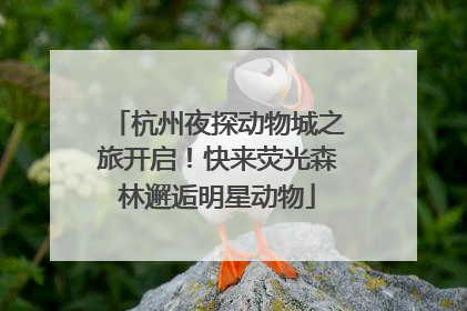 杭州夜探动物城之旅开启！快来荧光森林邂逅明星动物