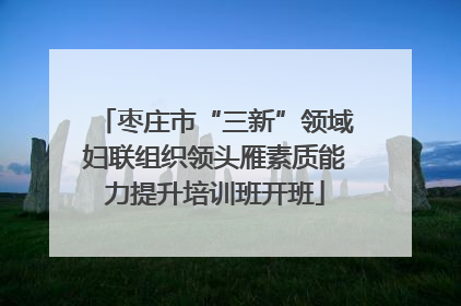 枣庄市“三新”领域妇联组织领头雁素质能力提升培训班开班
