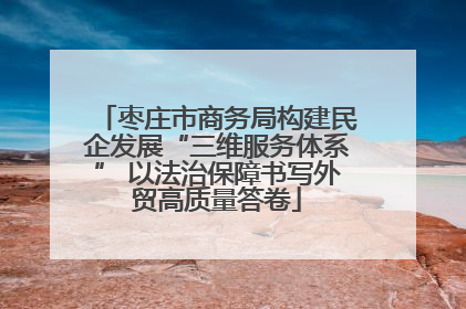 枣庄市商务局构建民企发展“三维服务体系” 以法治保障书写外贸高质量答卷