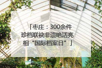 枣庄：300余件珍档联袂非遗绝活亮相“国际档案日”