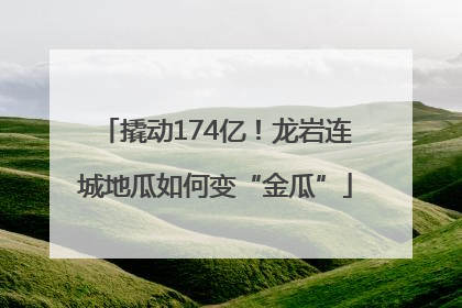 撬动174亿！龙岩连城地瓜如何变“金瓜”