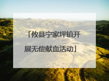 攸县宁家坪镇开展无偿献血活动