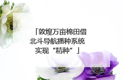 敦煌万亩棉田借北斗导航播种系统实现“精种”