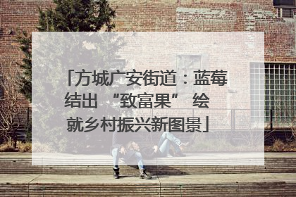 方城广安街道：蓝莓结出 “致富果” 绘就乡村振兴新图景