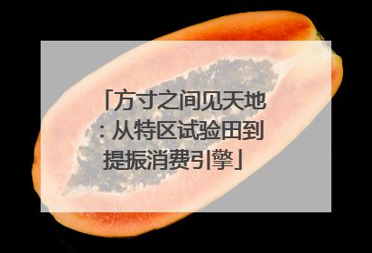 方寸之间见天地：从特区试验田到提振消费引擎